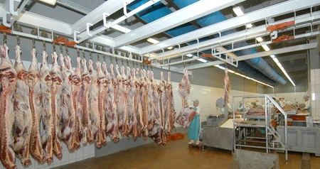 Дезинсекция на мясокомбинате в Москве и МО, цены на услуги